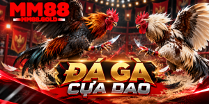Đá gà cựa dao MM88